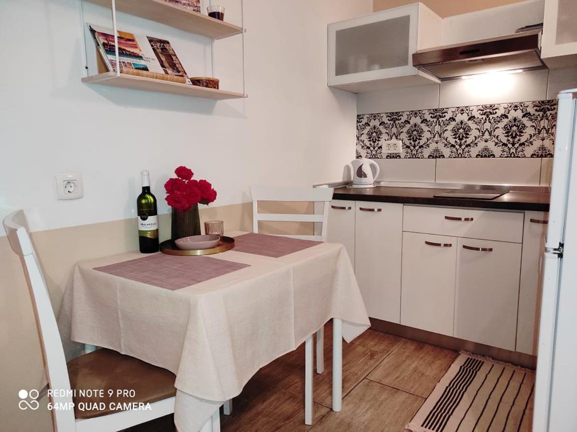 Nice Apartment In The City Center Ровинь Экстерьер фото